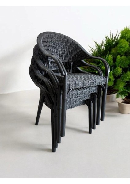 Bambu Rattan Kollu Sandalye Koltuk 6'lı Set