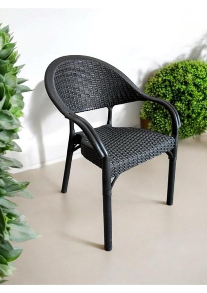 Bambu Rattan Kollu Sandalye Koltuk 6'lı Set