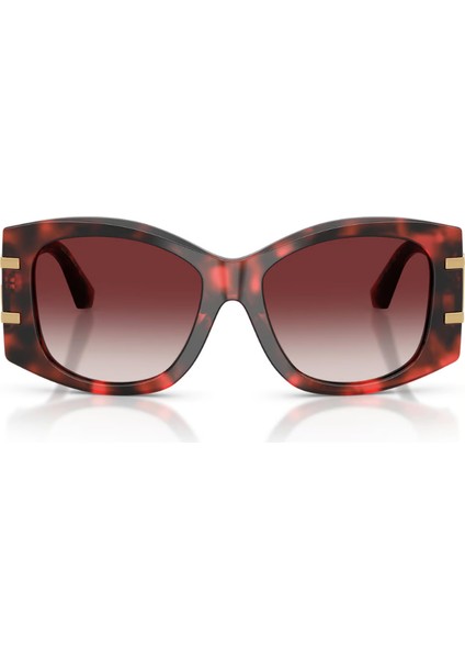 0DG4501 33588H 54*17*145 Kadın Güneş Gözlüğü fiyatları