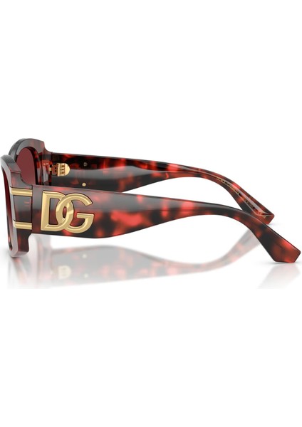 0DG4501 33588H 54*17*145 Kadın Güneş Gözlüğü modelleri