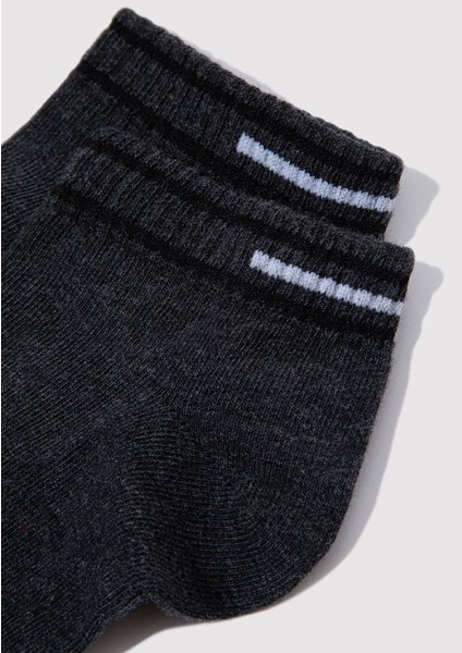 Çizgi Detaylı Antrasit Patik Çorap 0911609-80023 fiyatları