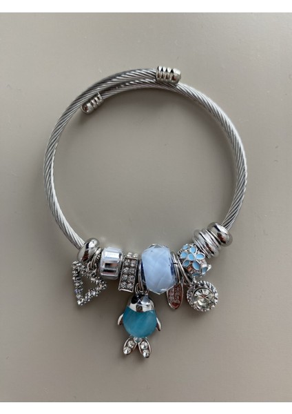 Model Mavi Balık Şans Charmlı Çelik Bileklik