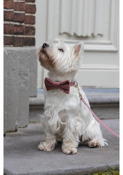 Dbl Köpek Papyonu, Kadife, Pembe, 9cm modelleri