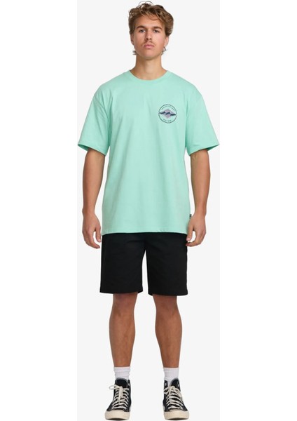 Billabong Rotor Diamond Regular Tee Erkek Tshirt fiyatları