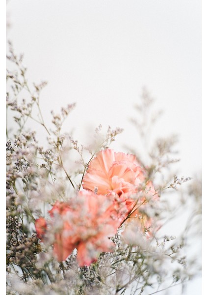 soft| Pembe Süs Çiçeği Desenli Modeli |çerçeveli Temperli Cam Tablo Tekli Dikey fiyatları