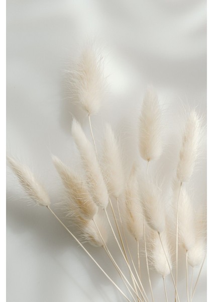 soft| Krem Renk Süs Bitki Modeli |çerçeveli Temperli Cam Tablo Tekli Dikey fiyatları