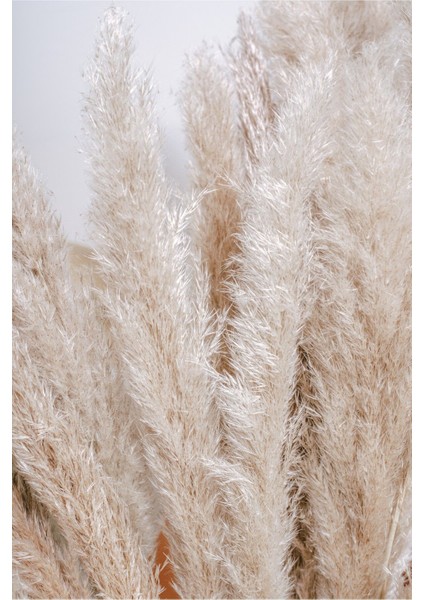 soft| Krem Ton Kuru Bitki Modeli |çerçeveli Temperli Cam Tablo Tekli Dikey fiyatları