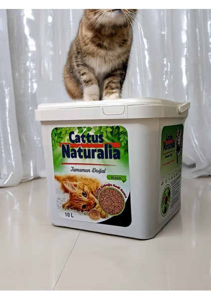 Aktif Karbonlu Klasik Ceviz Kabuğundan Yapılmış Doğal Kedi Kumu 5'li; %100 Organik, Tozsuz, Kokusuz, 5x10 Litre modelleri