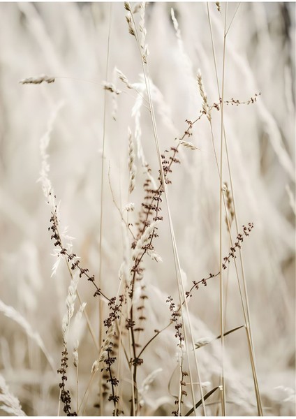 soft Bej Beyaz Püsküllü Yaprak 2|çerçeveli Temperli Cam Tablo Tekli Dikey fiyatları