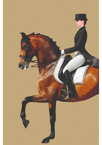 sevilen Krem-Kahverengi Jokey Kadın 02|çerçeveli Temperli Cam Tablo Tekli Dikey fiyatları