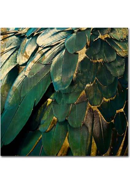 yeşil-Gold Kuş Tüyü Desenli Model |çerçeveli Temperli Cam Tablo Tekli Dikey fiyatları