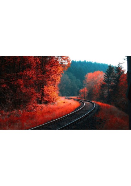 sonbahar Manzaralı Kırmızı Tren Rayı Detaylı 1|çerçeveli Temperli Cam Tablo Tekli Yatay fiyatları