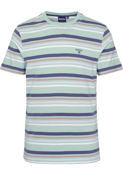 Houstead Stripe Tailored Fit T-Shirt GN12 Pale Apple modelleri