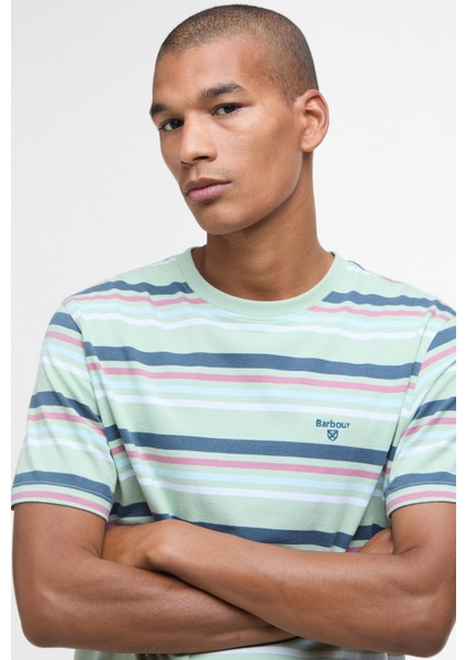 Houstead Stripe Tailored Fit T-Shirt GN12 Pale Apple indirimleri