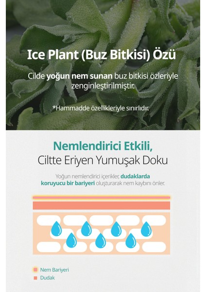 Yapışkanlık Hissi Bırakmayan Renkli Dudak Balmı A'pıeu Juicy Pang Care Lip Balm (01 Butter Balm)