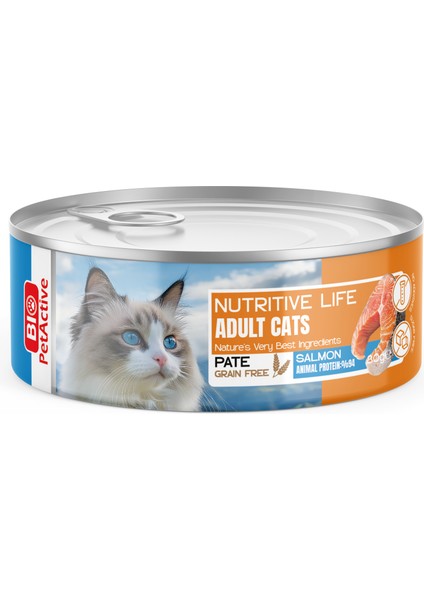 Nutrıtıve Lıfe Yetişkin Kedi Kıyılmış Somon Şekersiz Tahılsız Yaş Mama 80 gr ( 6 Al 5 Öde)