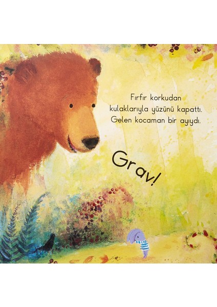 Cesur Fırfır - İlk Okuma Kitaplarım - Angela Mcallister