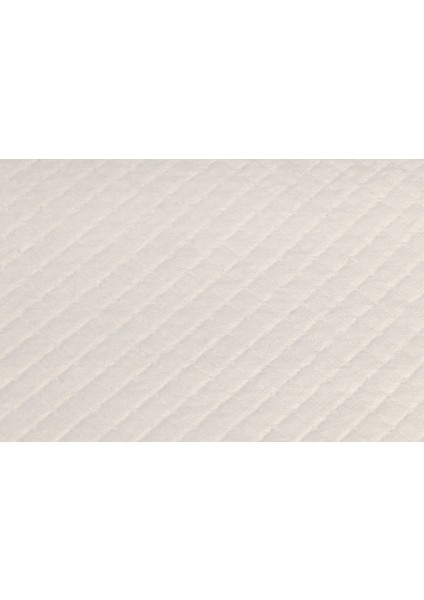 Yavru Köpek Çiş Eğitim Pedi, S, 20ADET, 60X40CM fırsatları