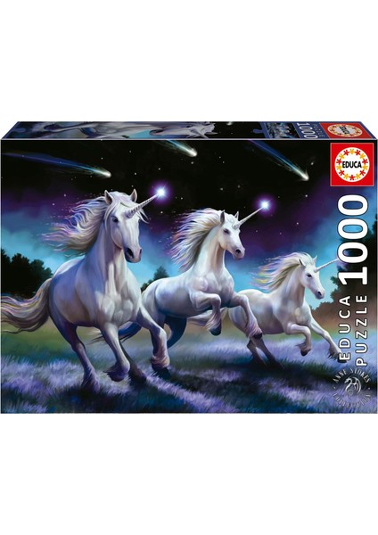 1000 Parça Kayan Yıldız Puzzle - 19919 - Shooting Stars Anne Stokes