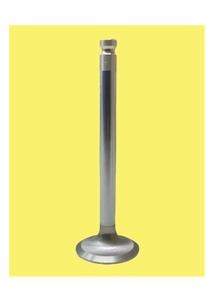 4466-4467 Güneş Subap Takımı 205 305 405 1.9 8V 8V