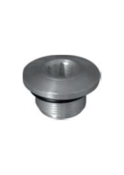 A6690 Silindir Kapak Tapası Albea 1.2 16V Orınglı