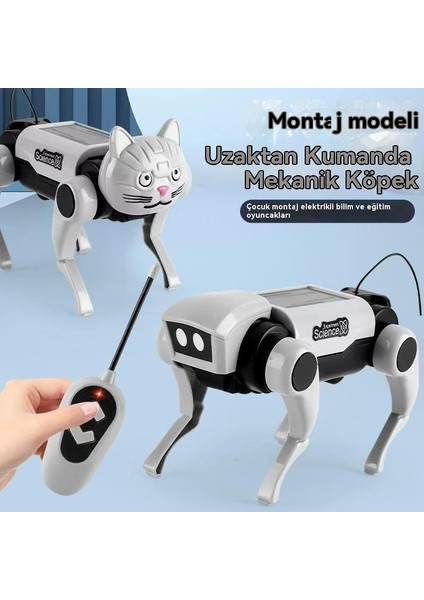 Uzaktan Kumanda Montaj Mekanik Köpek Dıy Yürüyen Oyuncak Köpek (Yurt Dışından)