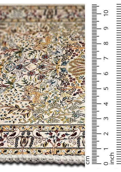 Şönil Halı, Makinada Yıkanabilir, Kaymaz Dokuma Taban, Modern & Dekoratif Tasarım FR181