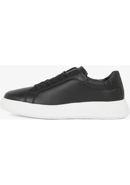 Low Top Lace Up Lth