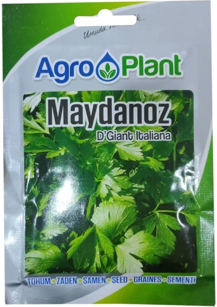 Agro Plant Maydanoz tohumu 25GR PAKET D'giant Italiana
