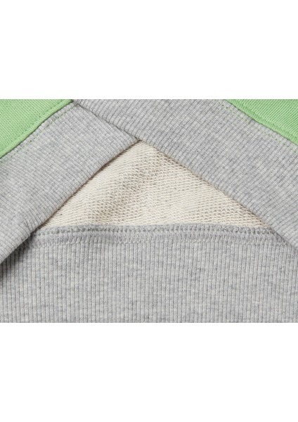 Erkek Çoçuk Sweatshirt 1/6 Yaş 10HW modelleri