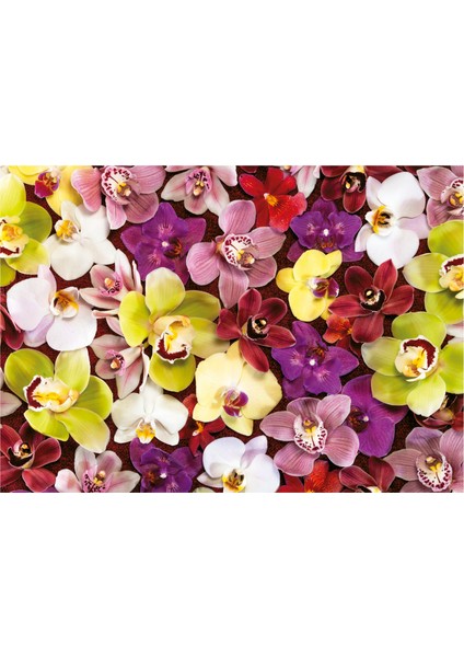 1000 Parça Puzzle Orkide Çiçek Kolajı - Orchid Collage - 19558 fiyatları