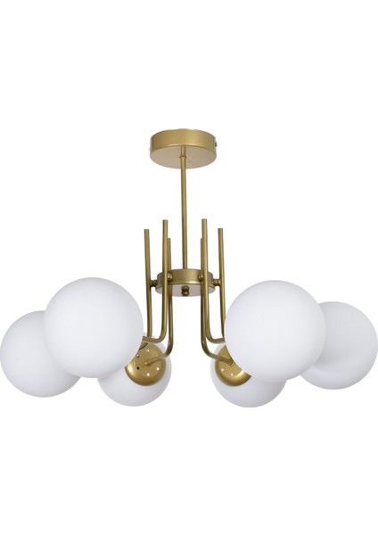 UltraNova fiyatları