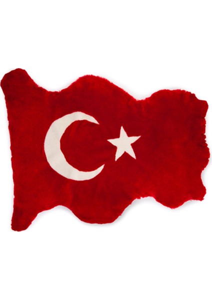 Ay Yıldız Desenli Hakiki Koyun Postu Halı BYRK001