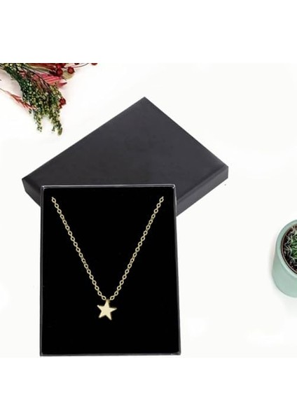 Hediye Yıldız Kolye & Pembe Mini Işıklı Peri Kar Küresi