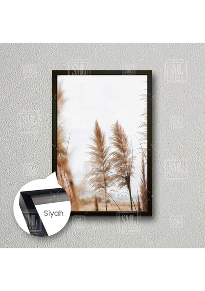 Pampas Boho Stil Iskandinav Tarzı Kanvas Moda Çerçeveli Dikey Kanvas Tablo