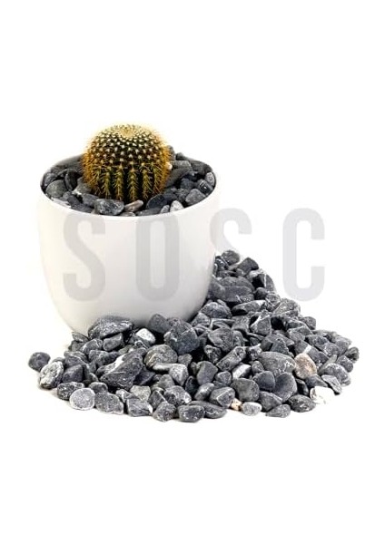 Çakıl Taşı Dolomit Taşı Bahçe Süsü Akvaryum Taşı Dere Çakıl Taşı 1-2 cm 3 kg