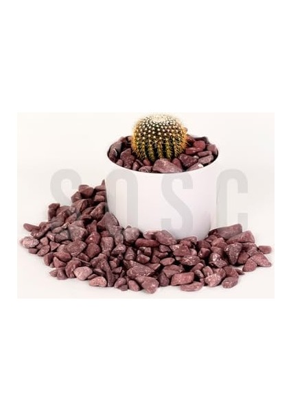 Çakıl Taşı Dolomit Taşı Bahçe Süsü Akvaryum Taşı Dere Çakıl Taşı 2-3 cm 3 kg