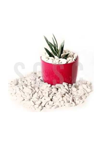 Çakıl Taşı Dolomit Taşı Bahçe Süsü Akvaryum Taşı Dere Çakıl Taşı 1-2 cm 3 kg