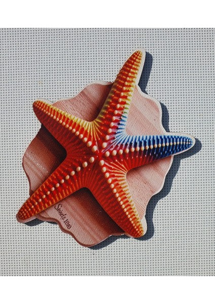 2 Adet 3D Görünümlü Deniz Yıldızı Magnet 6 x 9 cm