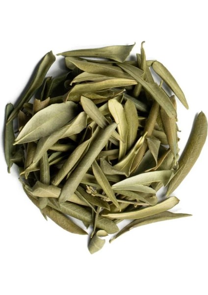 Zeytin Yaprağı 100GR. Elenmiş & Taze Mahsül