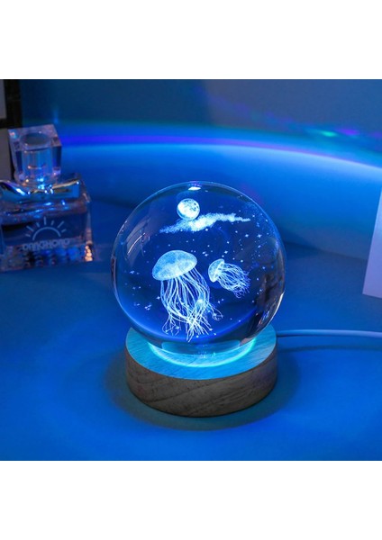 Ahşap Altlıklı Renk Değiştiren Cam Küre Deniz Anası Rgb