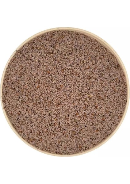 Karnıyarık Otu Tohumu 100GR. Elenmiş & Katkısız Taze Mahsül fiyatları