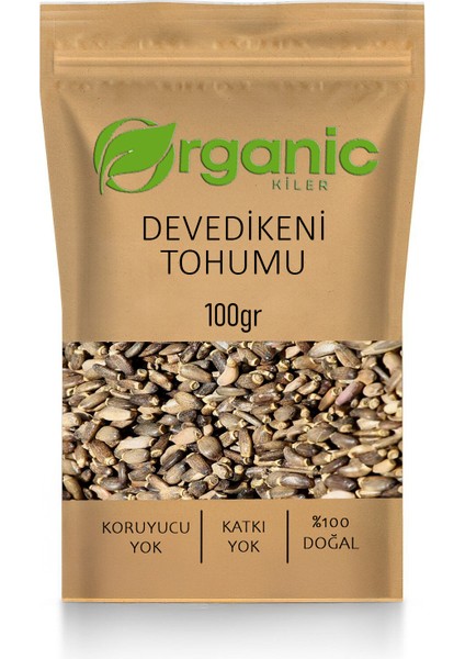 Devedikeni Tohumu 100GR Elenmiş Yeni Mahsül Organik