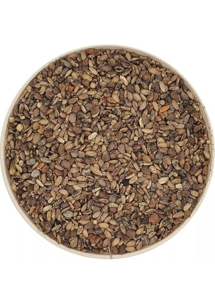 Devedikeni Tohumu 100GR Elenmiş Yeni Mahsül Organik fiyatları