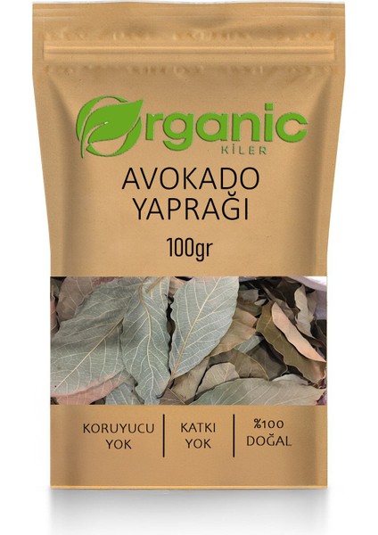 Avokado Yaprağı 100GR Taze ve Kurutulmuş