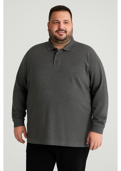 Erkek %100 Pamuk Füme Uzun Kollu Polo Yaka Tişört modelleri