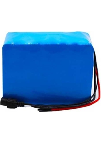 24V 14500MAH Li-Ion Bms Li 6S5P 18650 Şarjlı Pil