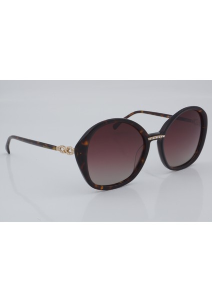 BC 1114 C2 54 - 01 Güneş Gözlüğü modelleri