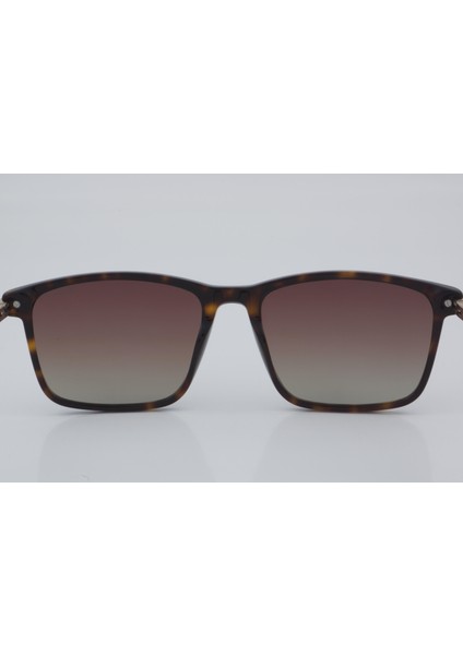 BC 1104 C2 54 - 01 Güneş Gözlüğü indirimleri