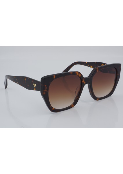 BC 1221 C2 55 - 01 Güneş Gözlüğü modelleri